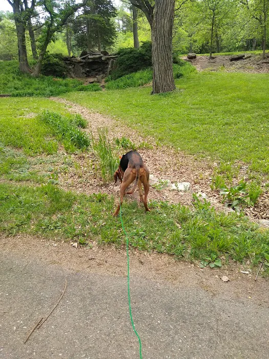 Chautauqua Park Campground Picture 2