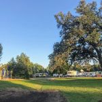 Chautauqua Park Campground