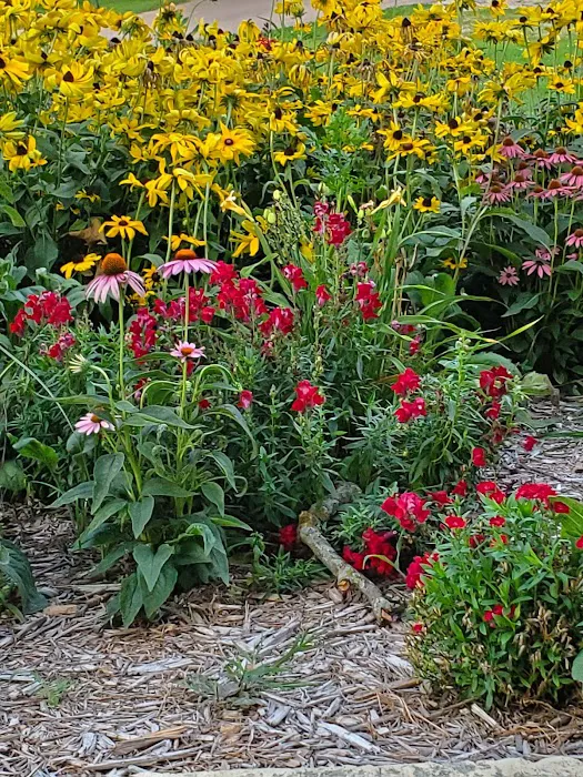 Chautauqua Park Campground Picture 4