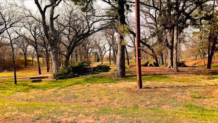 Chautauqua Park Campground Picture 7