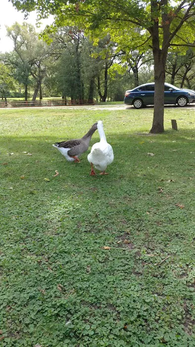 Chautauqua Park Campground Picture 10