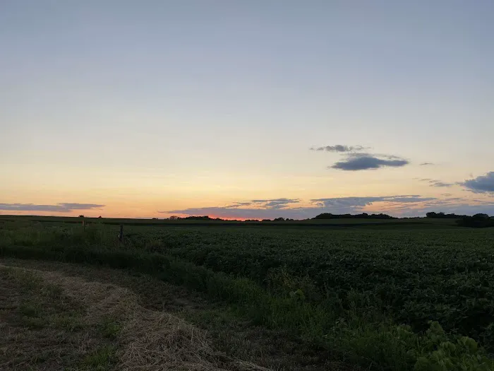 Camp Carlow Hipcamp Picture 7