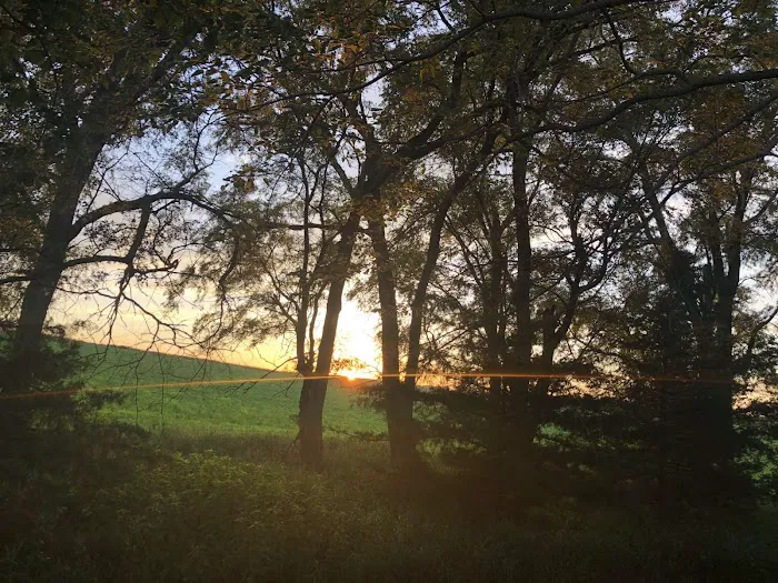 Camp Carlow Hipcamp Picture 10