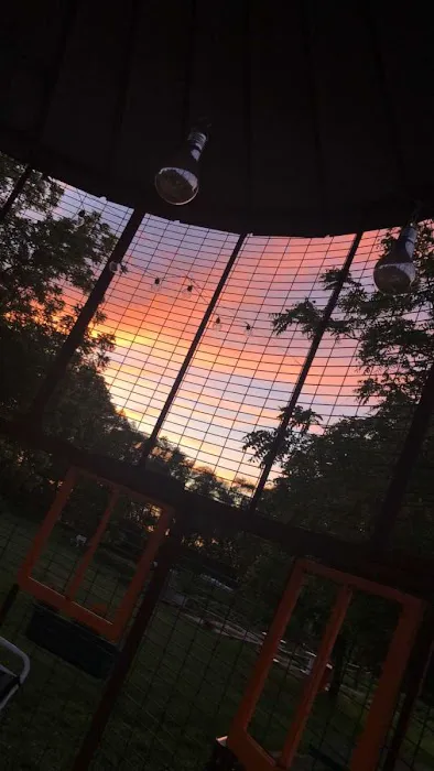 Camp Carlow Hipcamp Picture 9