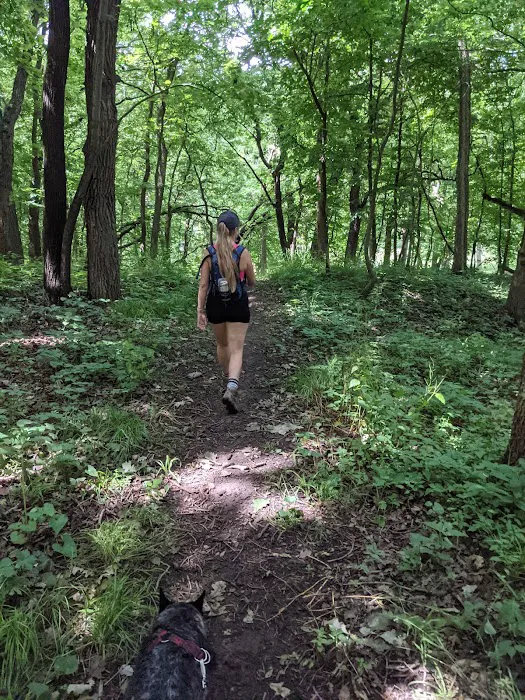 Stone State Park Campground and Lodge Picture 5