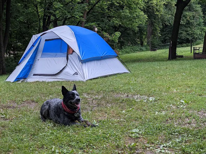 Stone State Park Campground and Lodge Picture 7