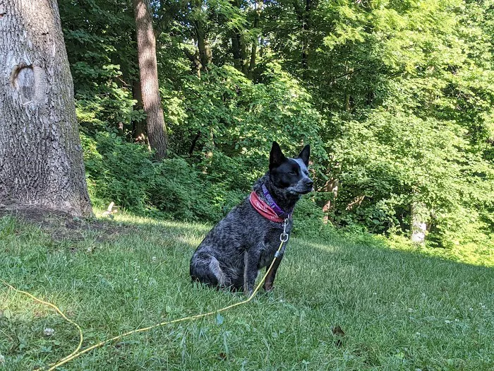 Stone State Park Campground and Lodge Picture 3