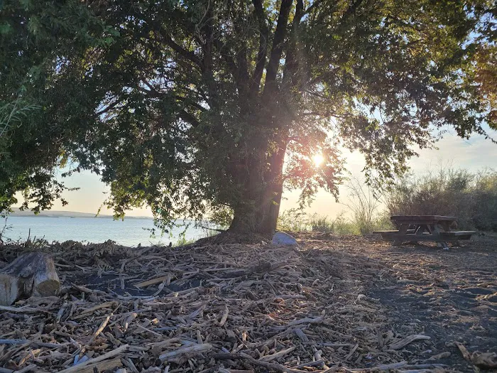 Mardon Resort Picture 5