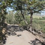 Broken Arrow Wilderness