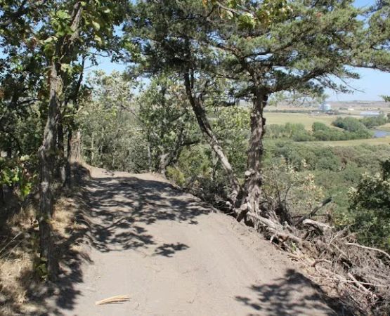 Broken Arrow Wilderness