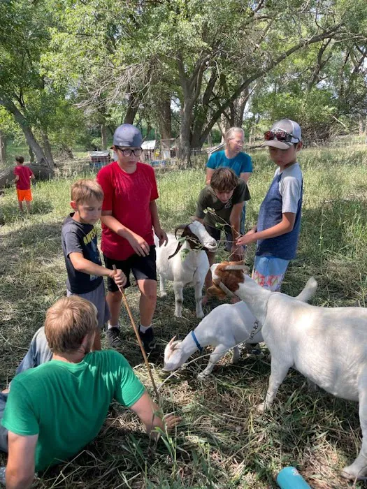 Grace Haven Picture 2