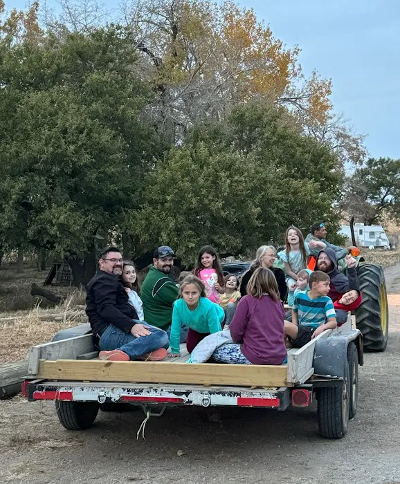 Grace Haven Picture 9