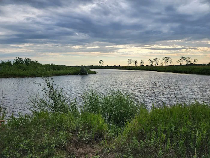 Bow Creek Primitive Campsite Picture 1
