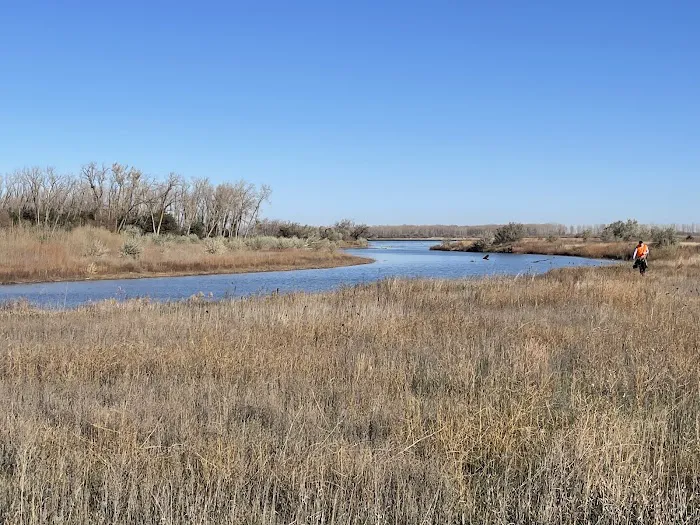 Bow Creek Primitive Campsite Picture 9