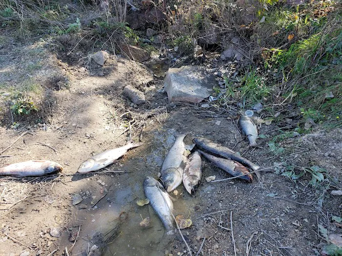 Nebraska Tailwaters Campground Picture 9