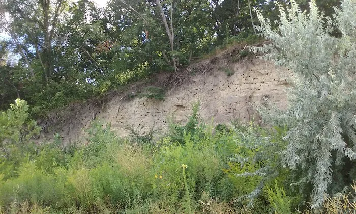 Nebraska Tailwaters Campground Picture 3