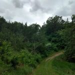 South Shore Equestrian Campground