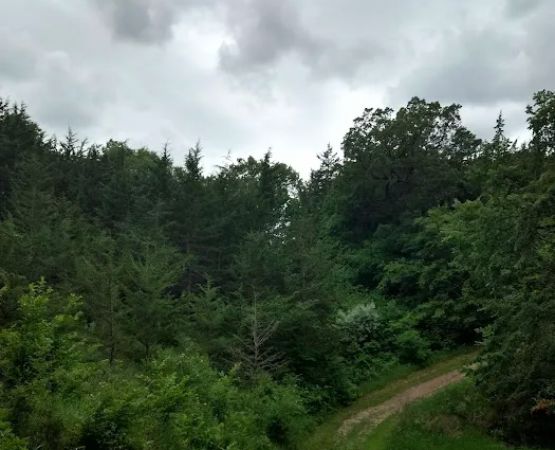 South Shore Equestrian Campground