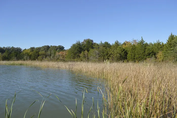 Group Camp #1 Picture 10