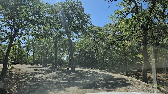 Dukes Forest Campground Picture 2