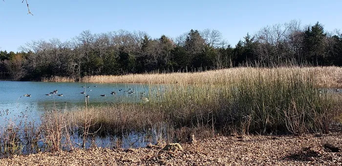 Elephant Rock Campground sits # 64 Picture 2