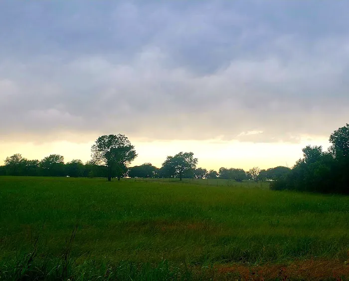 Buzzard Roost Campground Picture 5