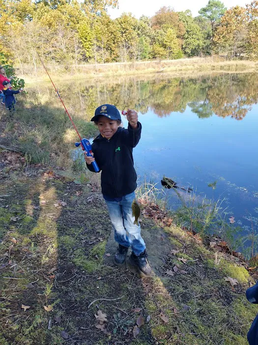 Pickens Lake Group Campground Picture 2