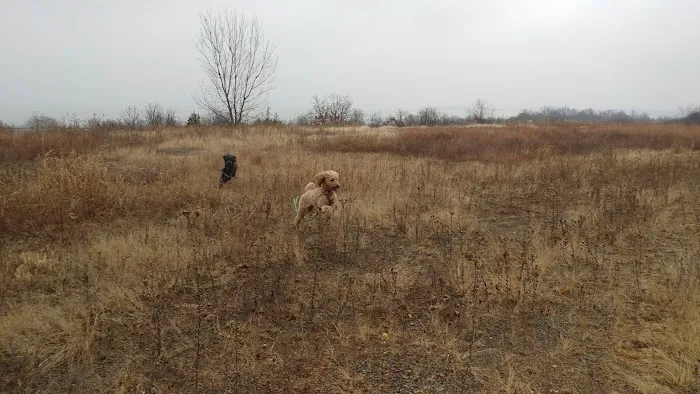 Rock Creek Rd RV Campground Picture 4