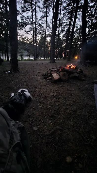 Lake Wayne Wallace Campground Picture 7