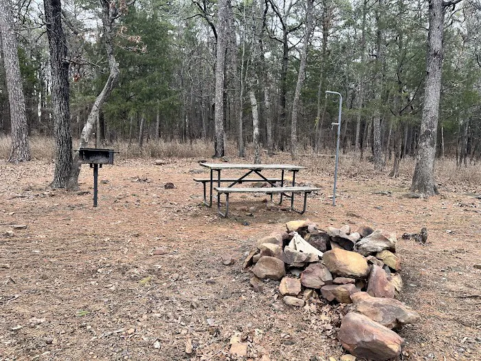 Lake Wayne Wallace Campground Picture 2