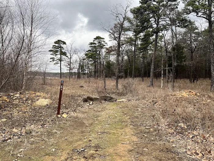 Lake Wayne Wallace Campground Picture 3