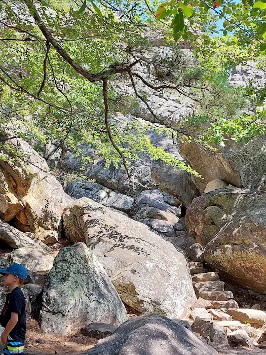 Bobcat Crossing Campground Picture 2