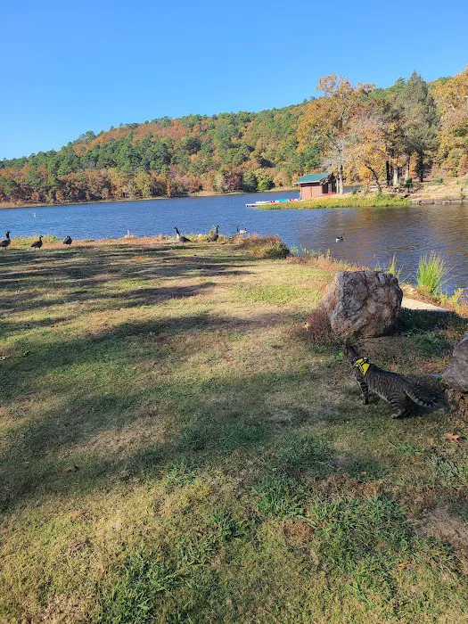 Bobcat Crossing Campground Picture 9
