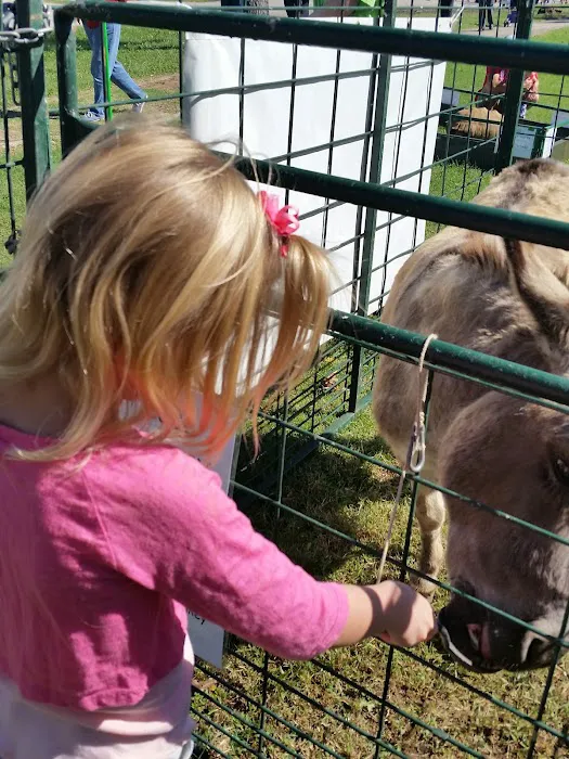 South Park Picture 5