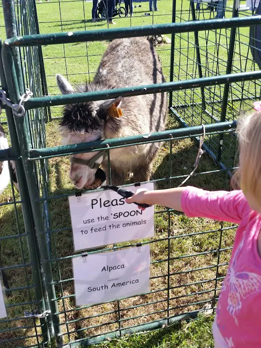 South Park Picture 6