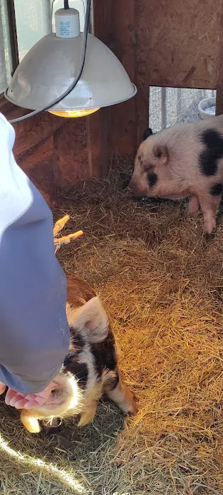 River Side Park Picture 8