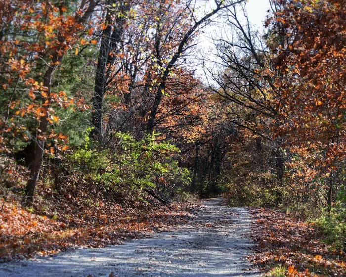 Woodson Cove Campground Picture 2