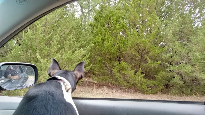 Manns Cove Campground Picture 3