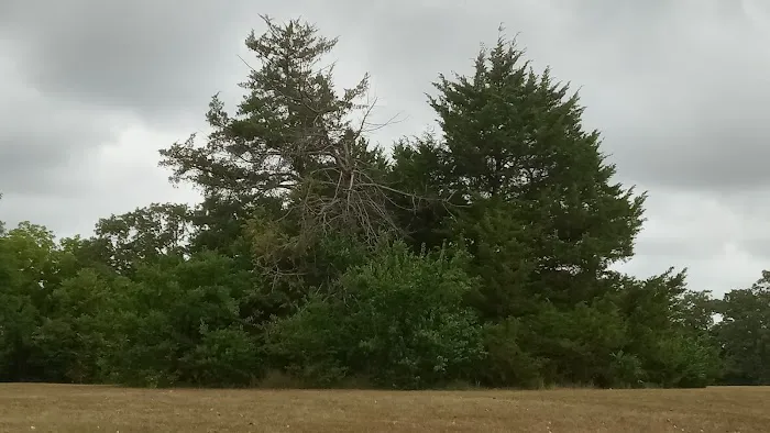 Manns Cove Campground Picture 2