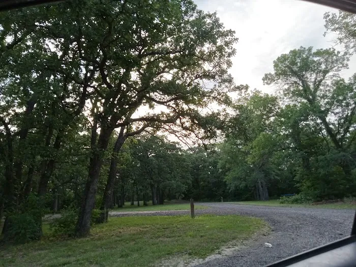 Manns Cove Campground Picture 4