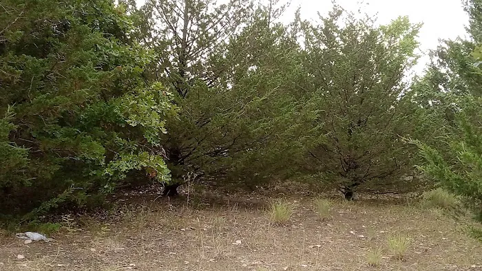 Manns Cove Campground Picture 1