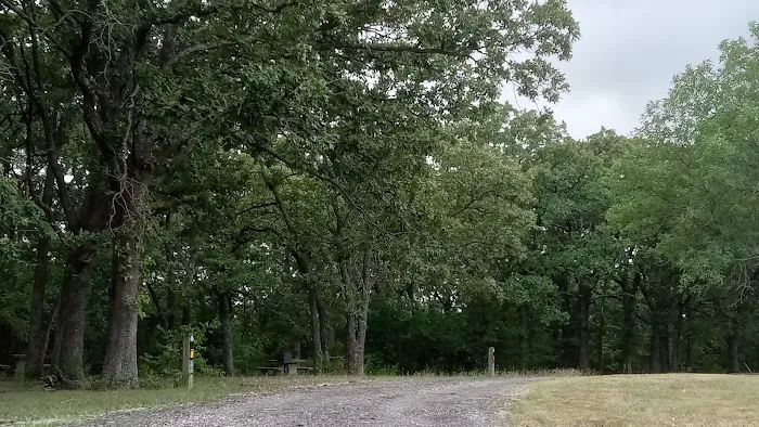 Manns Cove Campground Picture 9