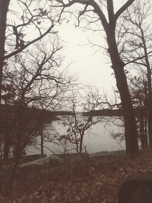 Manns Cove Campground Picture 10