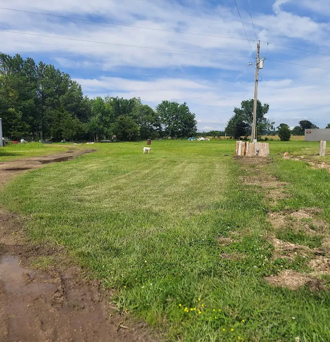 Buffalo Hump Camping and RV Stay Picture 3