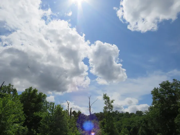 Gopher Valley Campground Picture 5