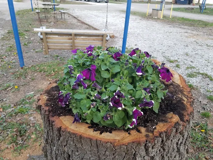 Beagle Bay RV Haven & Campground Picture 9