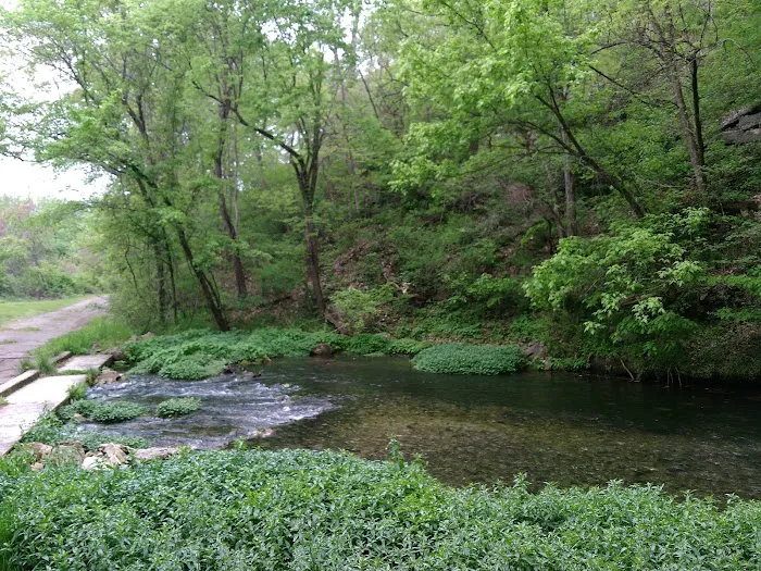 Baptist Hill Assembly Picture 5