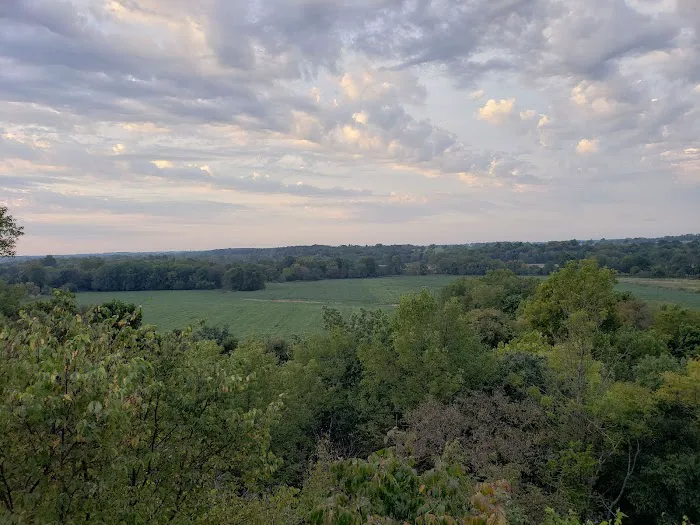 Baptist Hill Assembly Picture 2