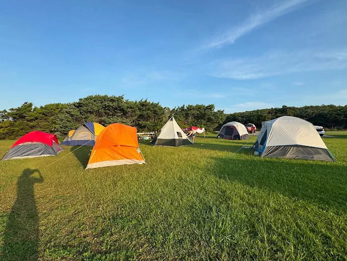 Ocracoke Campground Picture 4