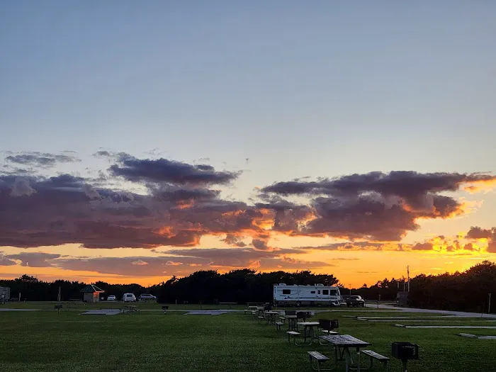 Ocracoke Campground Picture 5